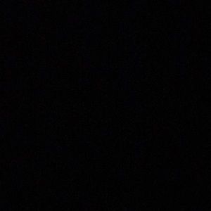 Meet your Posher, Moises